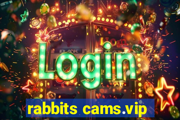 rabbits cams.vip